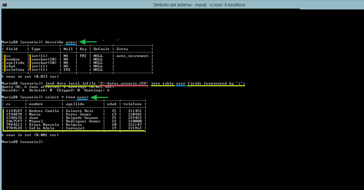cargando los datos en la tabla
