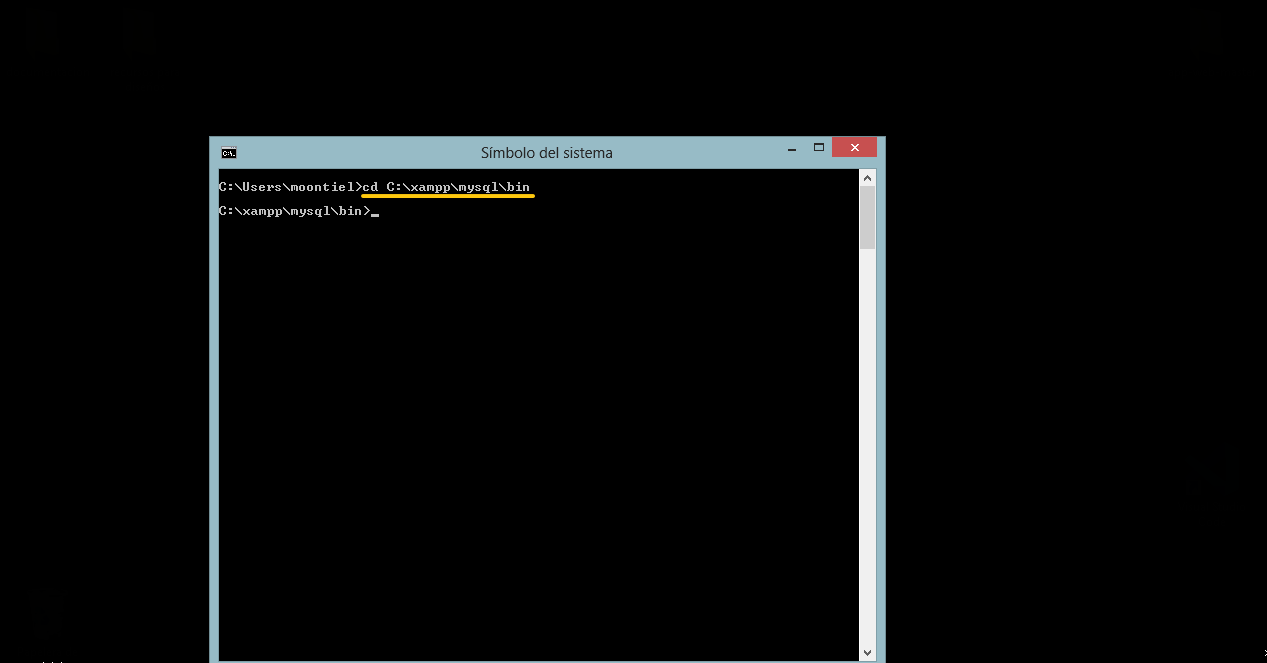 definir la ruta de la carpeta bin