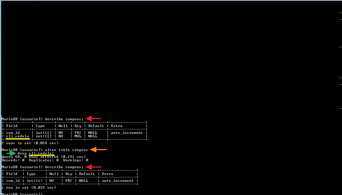 eliminando el campo creado