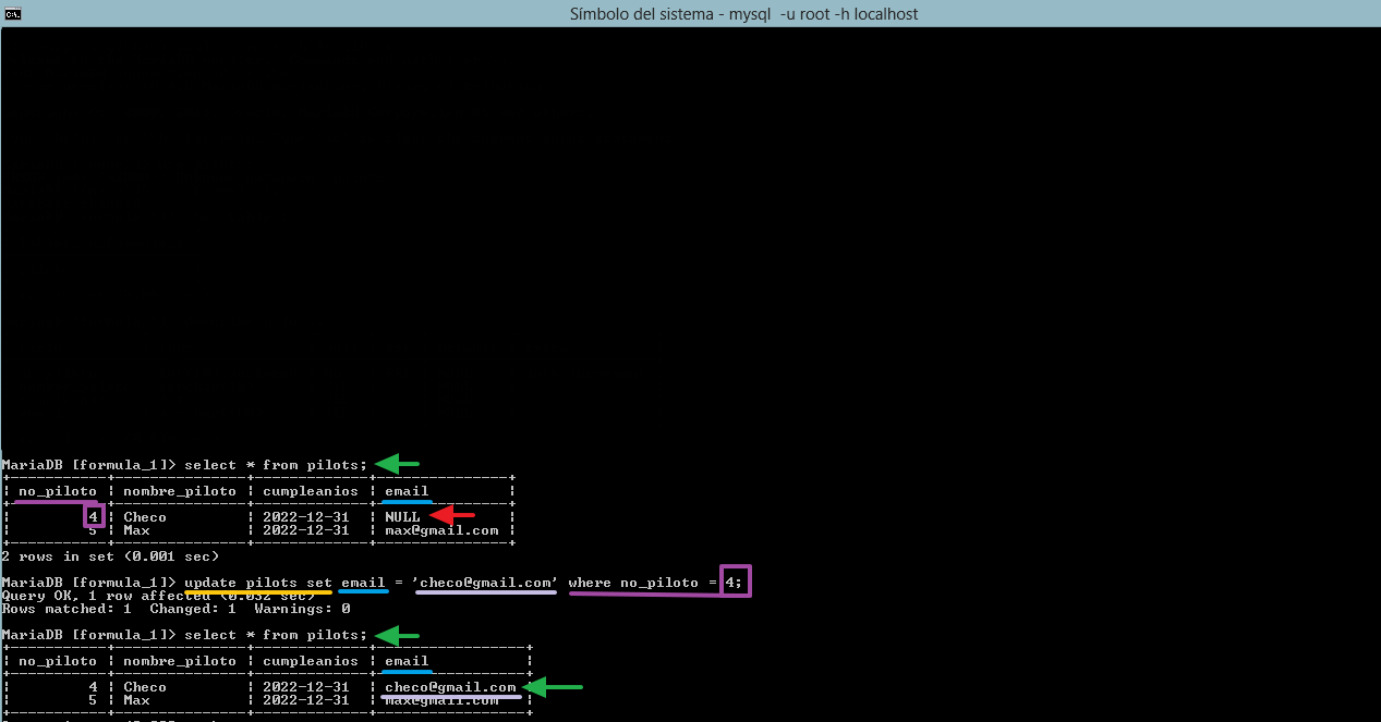 actualizando el valor de un campo